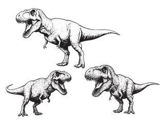 Tyrannosaurus Rex Roar Vintage Engraved Prehistoric Dinosaur Illustration Vector