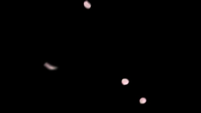 Pink cherry blossoms in full bloom in spring dance in the sky.looping video.[Sakura 6_Size: Large, Speed: Normal, Amount: Small, With Depth of Field]