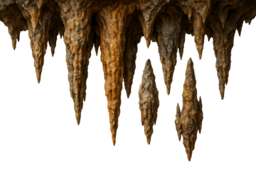 Brown and orange cave stalactites hanging from ceiling isolated on transparent background