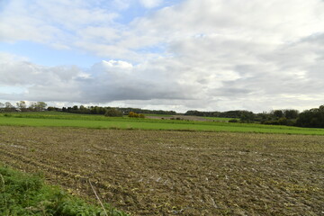 Terrain retourné et boueux à Écaussinnes-d'Enghien (Soignies) 
