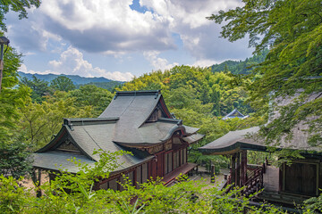 奈良 談山神社 新緑に包まれる総社拝殿と総社本殿