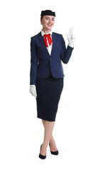 Charming stewardess in uniform on white background