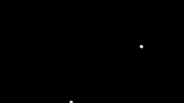 Pink cherry blossoms in full bloom in spring dance in the sky.looping video.[Sakura 11_Size: Medium, Speed: Slow, Amount: Small, With Depth of Field]