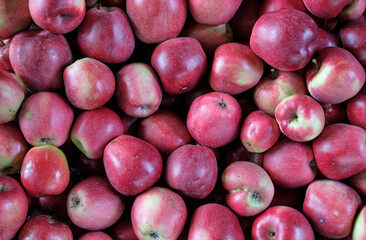 Natural texture background made of fresh apples, evoking warmth, comfort, and eco-conscious lifestyle trends