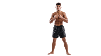 Combat Ready: A muscular athletic male stands in a fighting stance, embodying strength, readiness, and the discipline of martial arts.