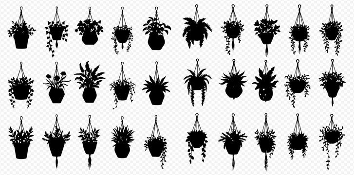 A comprehensive collection of black silhouette illustrations showcasing various hanging potted plants with diverse foliage types.