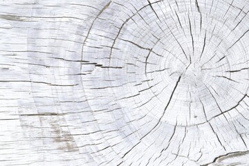 Obraz premium abstract white grunge background texture with wood grain