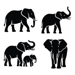 Majestic african elephant silhouettes set majestic african elephant silhouettes collection four distinct poses of elephants in black and white silhouette © JASMIN