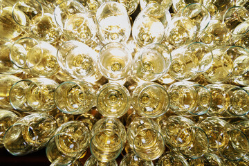 Top View of Multiple Glasses Filled with Sparkling Wine in Symmetrical Arrangement 