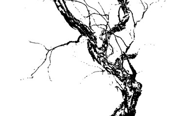 Obraz premium Black silhouette of dead tree branches against a solid, uniform background