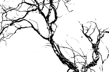 Black silhouette of dead tree branches against a solid, uniform background