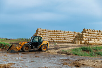 Yellow loader in front of large hay bale stacks on farm © Parilov