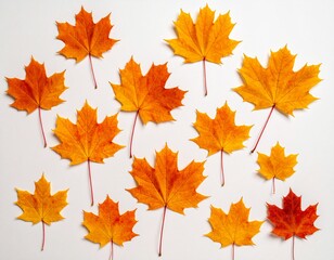 Fototapeta premium Im Herbst