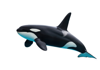 Isolated Orca Whale killer whale aquatic animal marine mammal sea wildlife ocean swimming © Natalia