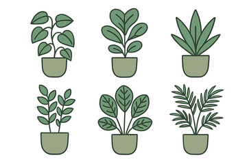 Minimalist collection of six popular potted houseplants in sage green pots