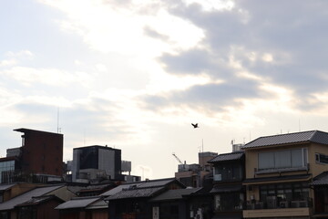 京都の夕暮れ