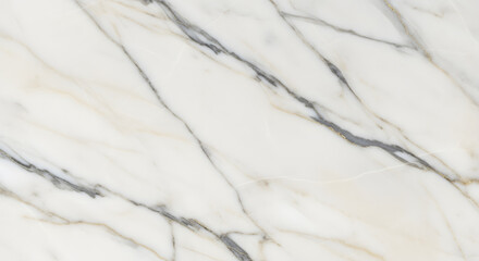 Obraz premium High-Resolution Elegant Marble Texture Background