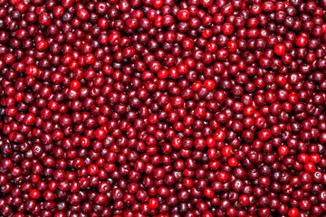 Fresh red cherries piled high showcasing the bounty of summer harvest. Glossy cherries arranged in abundance at a local market. Juicy cherry symbolizing the sweetness and richness of life, closeup