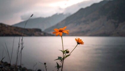 Scenic view of a still lake with mountains in the background, wildflowers in the foreground, and a cloudy sky