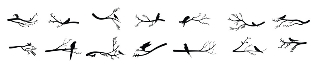 collection of vector illustrations of bird silhouettes 