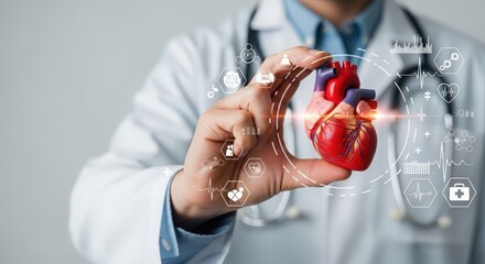 Doctor holding an anatomical heart model with digital icons