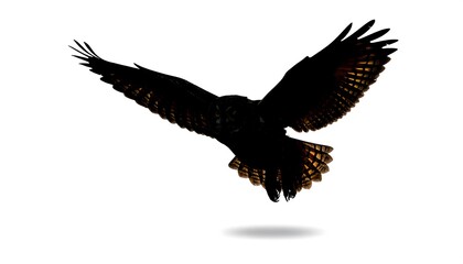 Obraz premium Silhouette of a majestic bird in flight, wings outstretched against a stark white background, showcasing detail and grace
