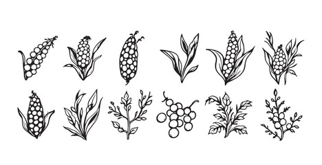corn plant icons set