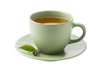 Isolated sage-green cup of herbal tea with fresh leaves on the saucer, beverage break