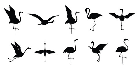 Flat flamingo silhouettes collection vector