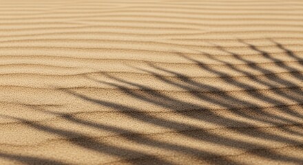 Obraz premium Palm leaf shadow across rippled golden sand