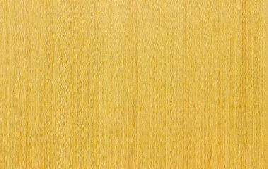 natural wood, with a beautiful pattern. natural yellow wood background. wooden board with natural seamless texture. koto, African, Pterygota, view from above, horizontal