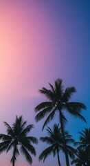 Silhouettes of palm trees against a colorful sunset sky