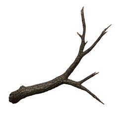 Fototapeta premium Intricate tree branch detail showing natural wood grain, perfect for rustic design elements, earthy textures and organic backgrounds, nature design, and textured compositions