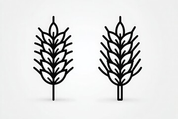 Obraz premium Two elegant wheat stalks are illustrated in black line art style. The designs showcase intricate details of the wheat heads, highlighting their natural shapes.