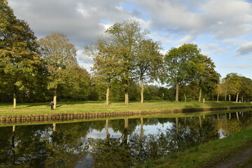 Reflet des arbres dans les eaux de l'ancien canal du Centre à Bracquegnies (La Louvière) 