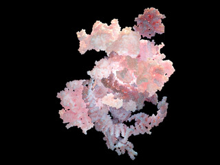 Activated spliceosome. The spliceosome removes non-coding regions (introns) from pre-mRNA, leaving the coding regions (exons) to form mature mRNA.