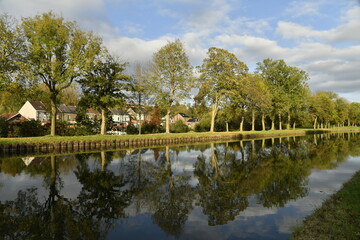 Fototapeta premium Reflet des arbres dans les eaux de l'ancien canal du Centre à Bracquegnies (La Louvière)