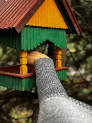 woman bird feeder in an autumn park