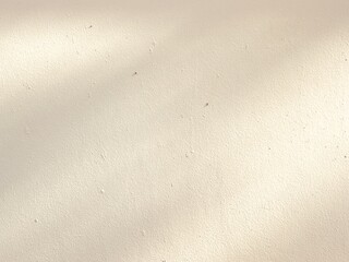 An empty wall background with the tree shadow and a copy space for your work. A faint shadow on the wall.