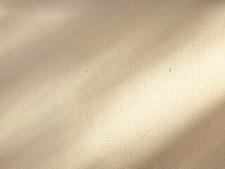 An empty wall background with the tree shadow and a copy space for your work. A faint shadow on the wall.