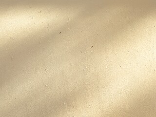 An empty wall background with the tree shadow and a copy space for your work. A faint shadow on the wall.
