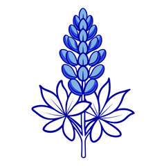  lupine blue line art on white background