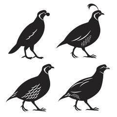 Fototapeta premium set of birds silhouettes