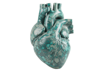 Isolated, anatomical human heart with turquoise marble effect, cardiac health design idea