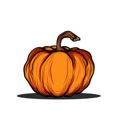 scary Pumpkin hand drawn illustration on white background