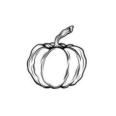 hand drawn pumpkin and ink. Scary greeting card and invitation party poster. Modern illustration concept. single element, icon, sticker, poster card. vegetable harvest autumn Halloween thanksgiving