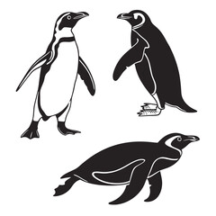 penguin