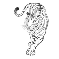 Chinese ink painting tiger lines