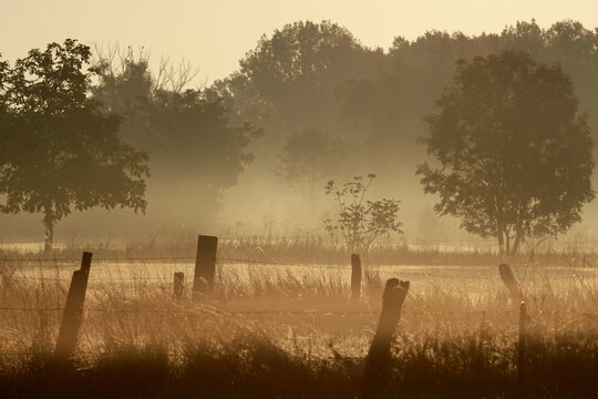 misty morning sunrise