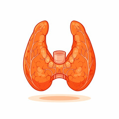 Cartoon Thyroid Gland with Follicles and Veins in Orange and Red Tones.